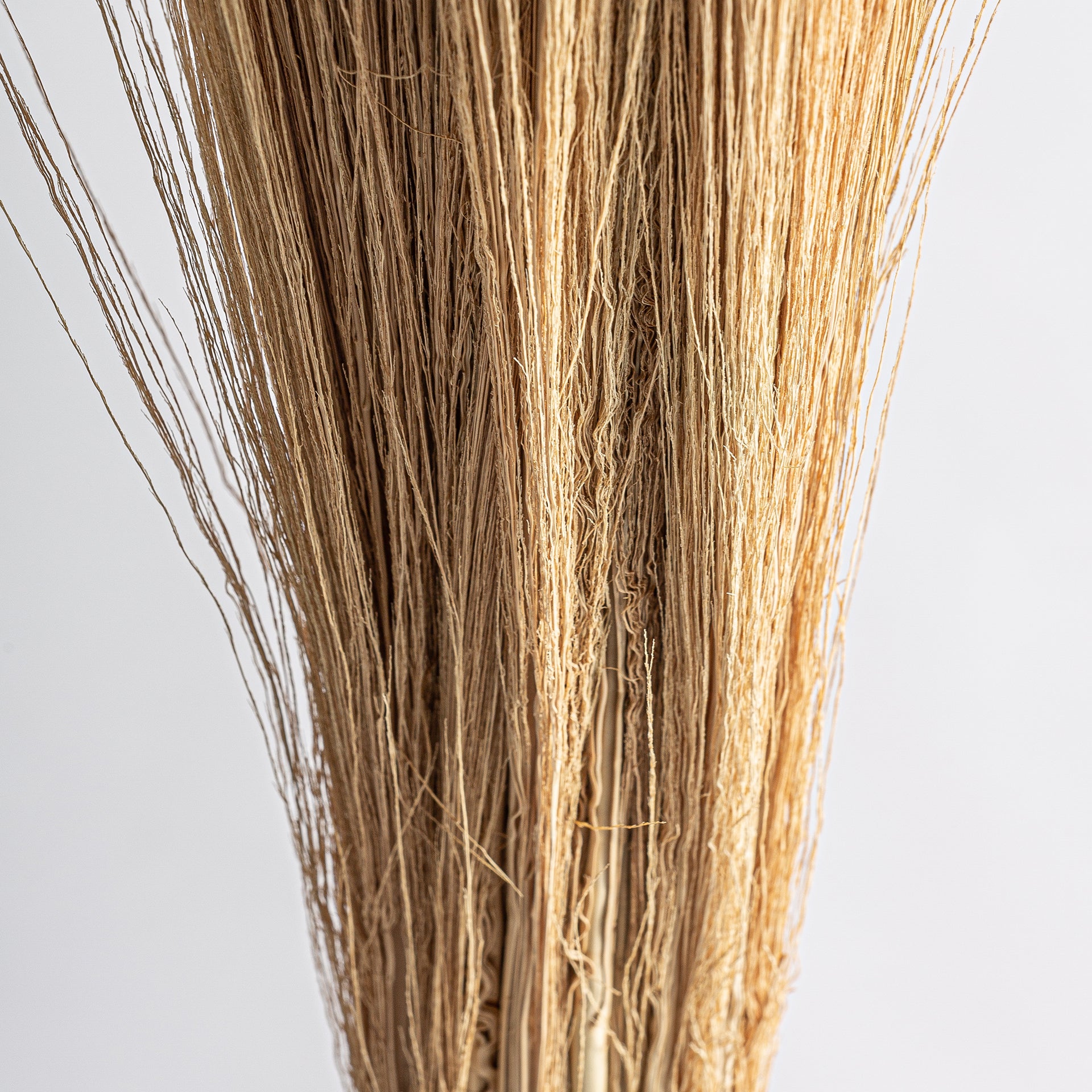 LEASHE BRANCHES